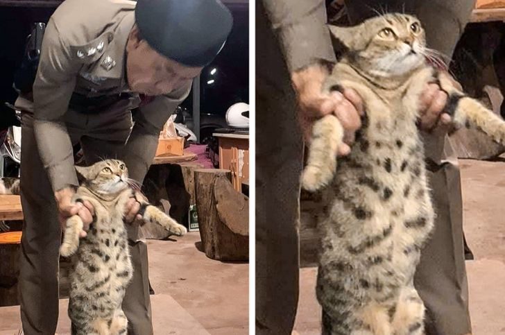 20+ фото из необыкновенного Таиланда, которые удивляют, умиляют и обескураживают