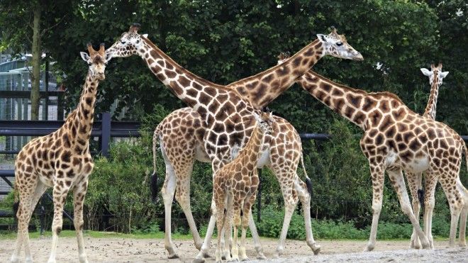 20 мест, которые нужно посетить в Дублине