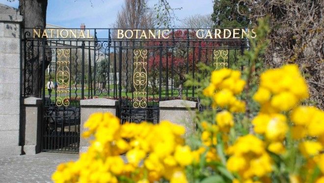 20 мест, которые нужно посетить в Дублине