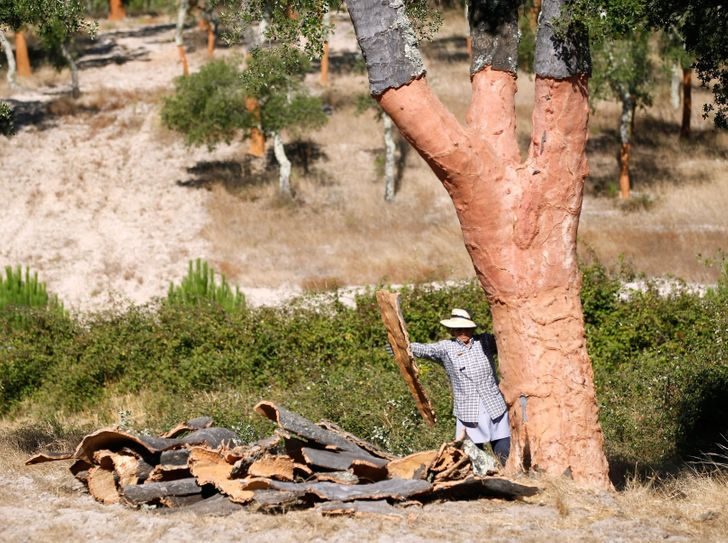 24 особенности жизни в Португалии, которые делают её такой неповторимой и удивительной