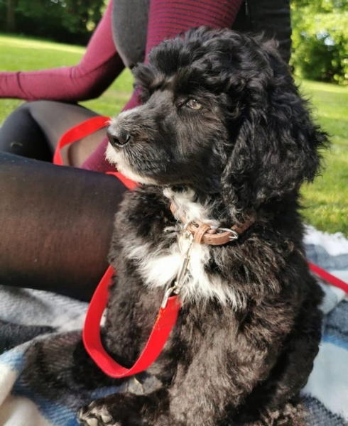 24 особенности жизни в Португалии, которые делают её такой неповторимой и удивительной