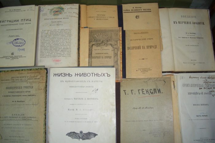 Цивилизации прошлого, ушедшие под воду