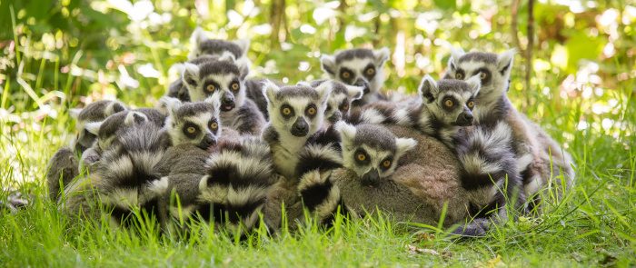 Цивилизации прошлого, ушедшие под воду