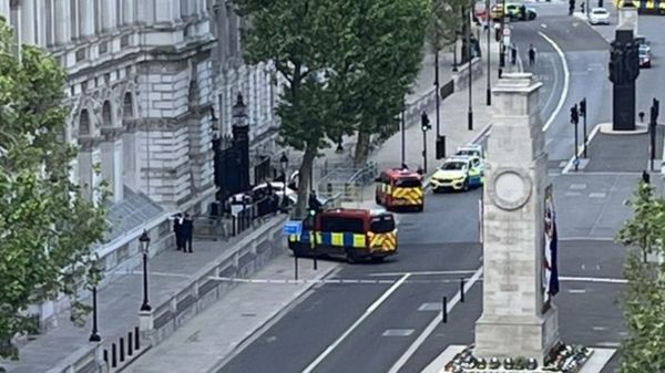 В Лондоне задержан водитель, врезавшийся в ворота на Даунинг-стрит