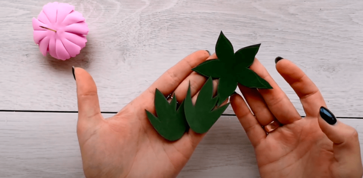 Декоративные пионы