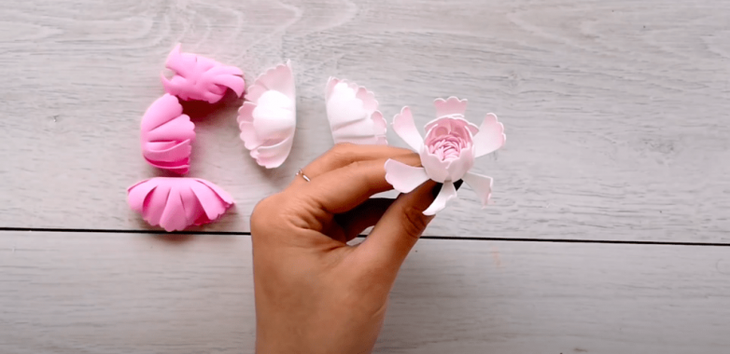 Декоративные пионы