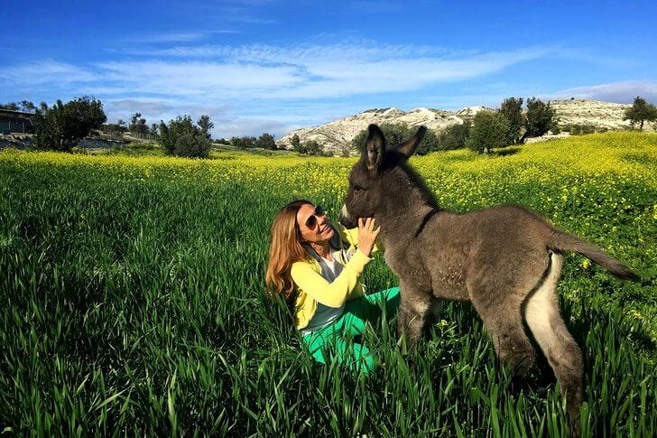 Достопримечательности Ларнаки