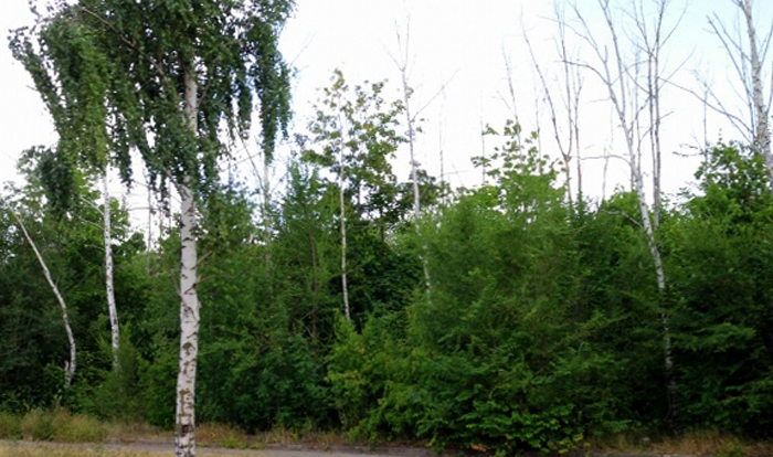 Главные достопримечательности Тольятти — фото с названиями и описанием