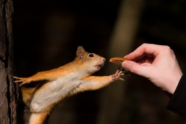 Города Балтийского побережья, в которых стоит побывать