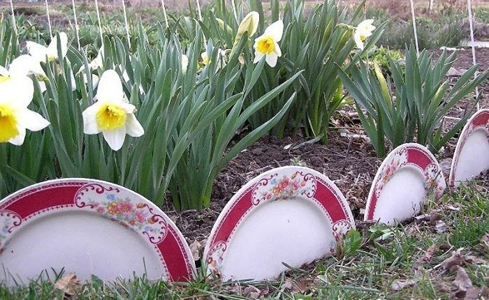 Использование старых вещей на даче