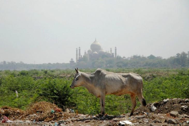 Как выглядят мировые достопримечательности с невыгодного ракурса