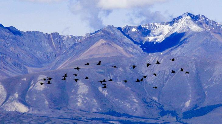 Места в России, похожие на Европу