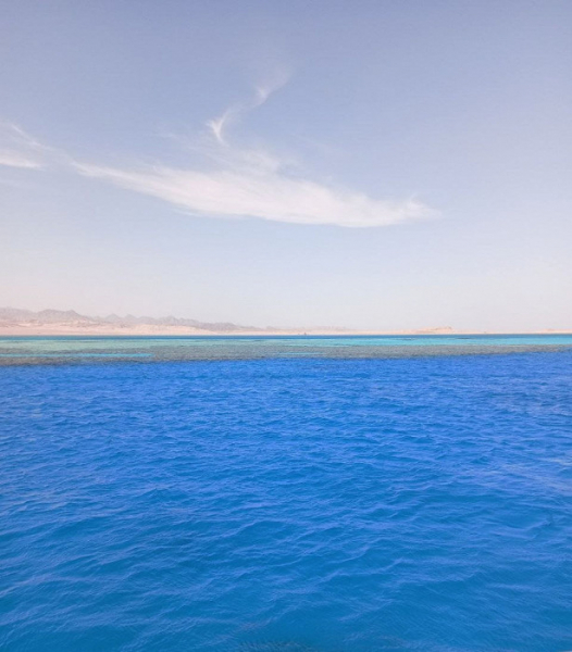 «Наше отсутствие помогло очиститься местным от пошлости»: отзыв о Шарм-эль-Шейхе