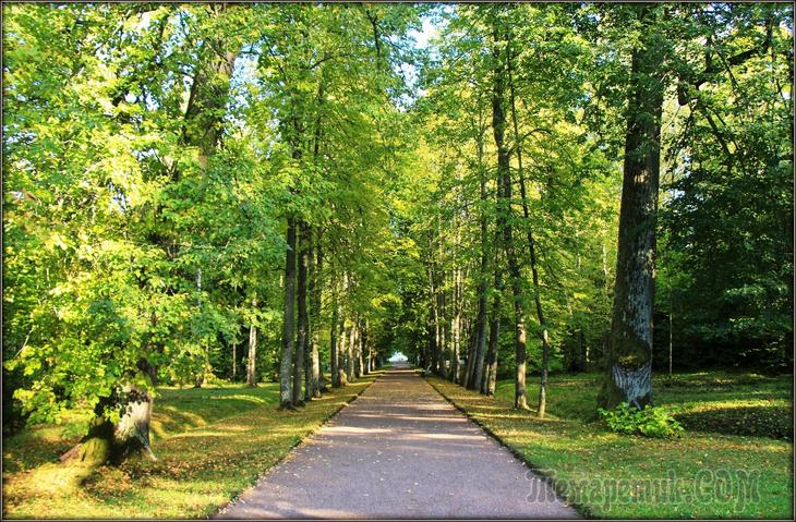 По волнам моей памяти... Павильон Катальной горки. Ораниенбаум.