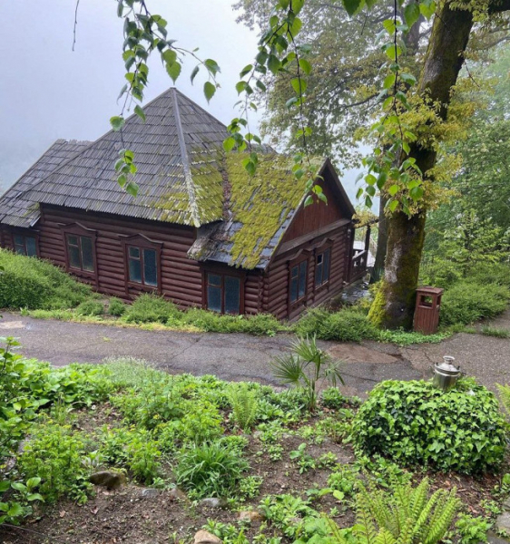 Посиделки на шезлонгах, самостоятельная уборка и классные экскурсии: отзыв об отдыхе в Сочи за 34 тысячи