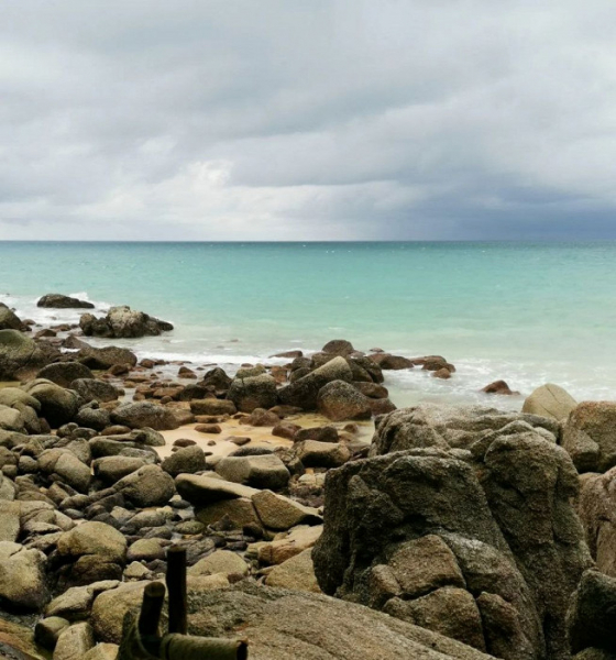 «В Таиланд обязательно вернусь, но в другой отель»: смешанный отзыв о Пхукете