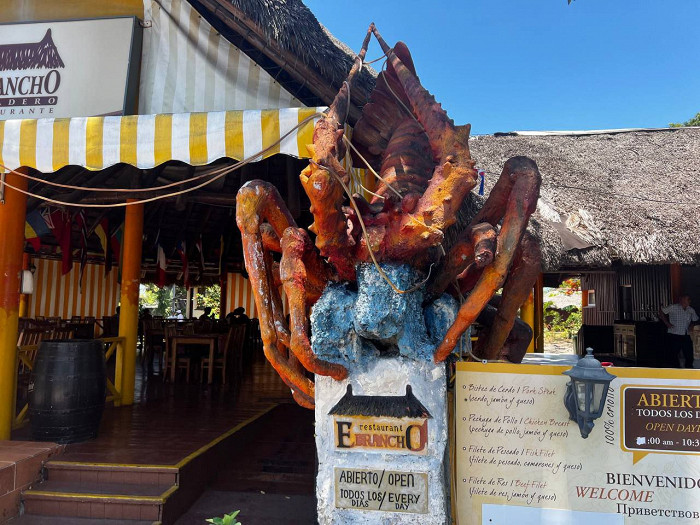 Воровство, блохи на пляже и «гладиаторские бои» за еду: шокирующий отзыв о Кубе