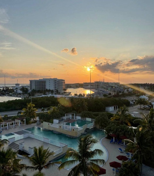 Воровство, блохи на пляже и «гладиаторские бои» за еду: шокирующий отзыв о Кубе