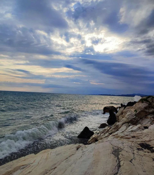 «Все мошенники знают, что останутся безнаказанными»: отзыв об Абхазии в межсезонье