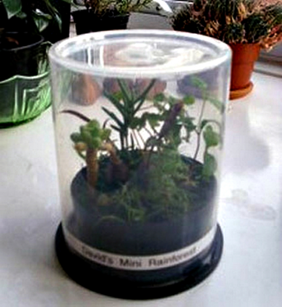 16 оригинальных теплиц, которые можно сделать своими руками из доступных материалов