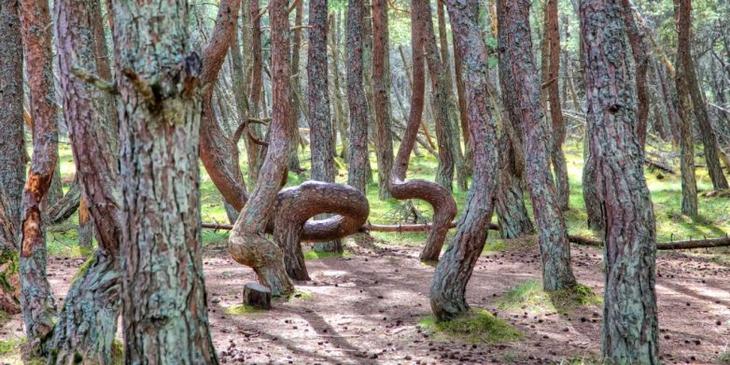 16 восхитительных мест России, которые должен увидеть каждый