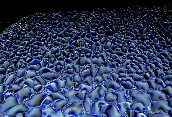 16 завораживающих фотографий из микромира, которые раскрывают знакомые вещи с необычной стороны