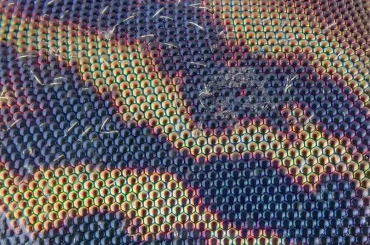 16 завораживающих фотографий из микромира, которые раскрывают знакомые вещи с необычной стороны