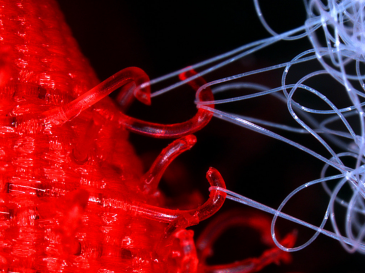 16 завораживающих фотографий из микромира, которые раскрывают знакомые вещи с необычной стороны