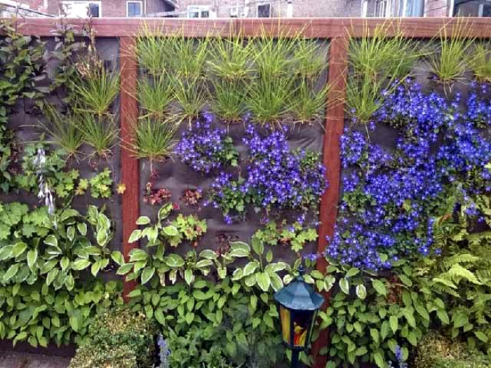 18 идей оформления ограждений дачного участка, которые можно реализовать уже нынешней весной