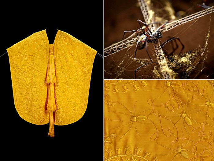 19 самых необычных «профессий» животных