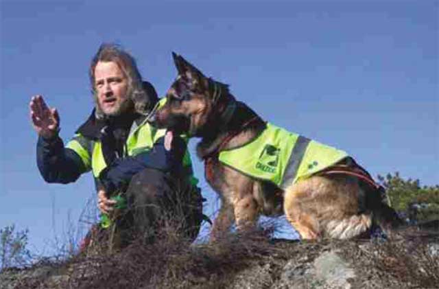 19 самых необычных «профессий» животных