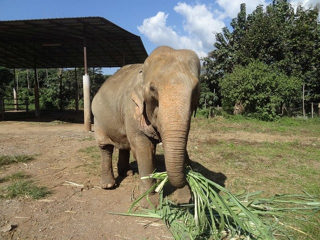 5 небезопасных развлечений на отдыхе