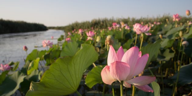 7 волшебных мест России, которые стоит увидеть хотя бы раз в жизни