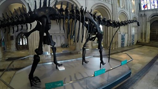 На острове Уайт обнаружены останки неизвестного науке динозавра