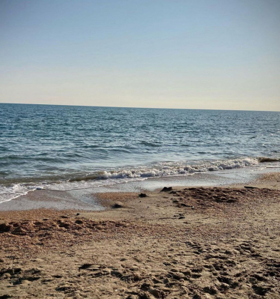 «Беда наших курортов в самих нас»: отзыв об Анапе