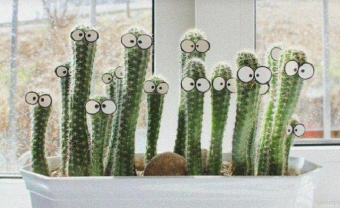 Декор для дома своими руками: описание и фото интересных идей