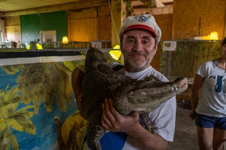 ДЕНЬ КРОКОДИЛА!