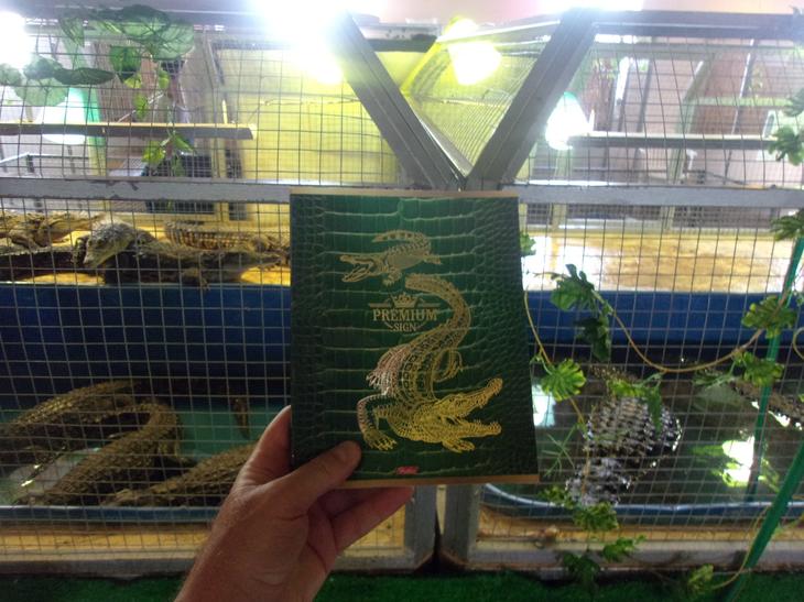 ДЕНЬ КРОКОДИЛА!