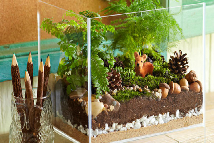 Флорариумы, которые станут неповторимыми украшениями для любого дома