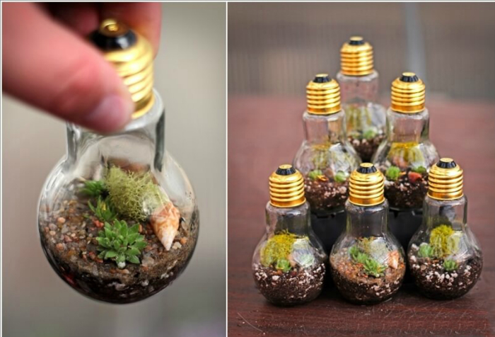 Флорариумы, которые станут неповторимыми украшениями для любого дома