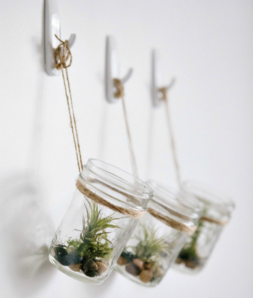 Флорариумы, которые станут неповторимыми украшениями для любого дома