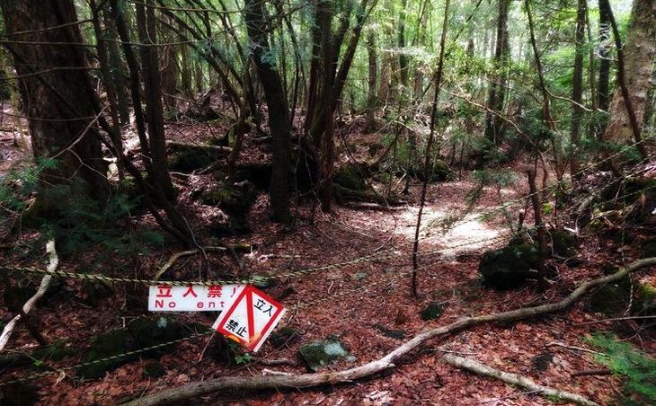 Гора Крестов и ещё 9 самых жутких туристических направлений