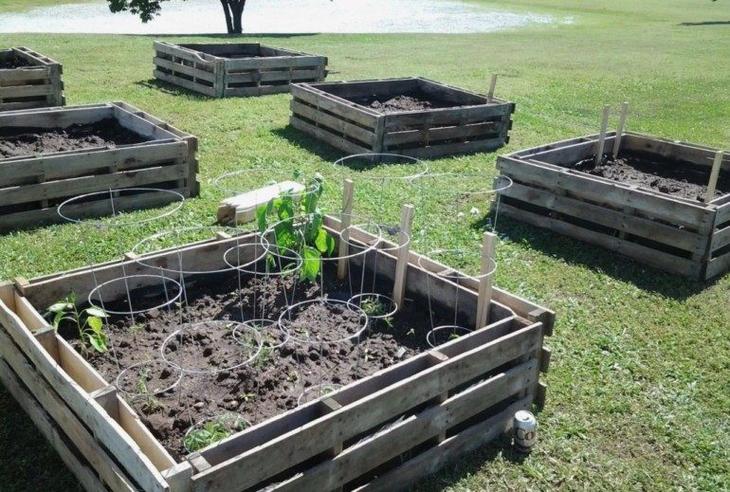 Яркие ограждения для цветочных клумб из обычных паллет
