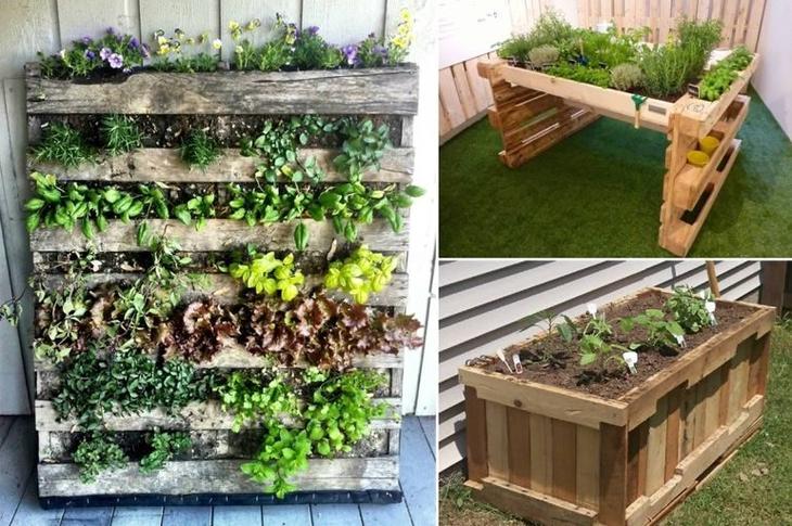 Яркие ограждения для цветочных клумб из обычных паллет