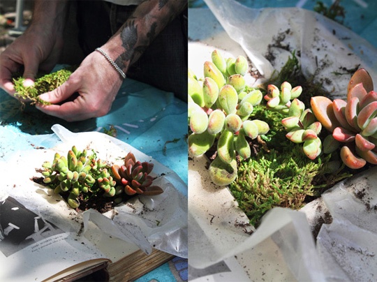 Как сделать из книги вазон для суккулентов