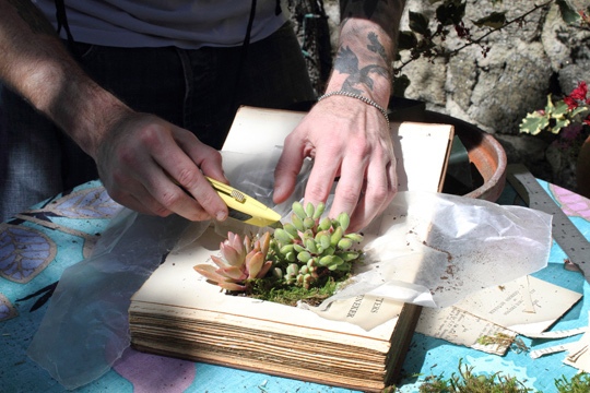 Как сделать из книги вазон для суккулентов