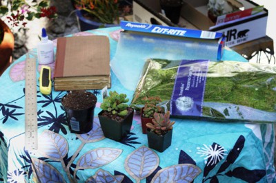 Как сделать из книги вазон для суккулентов