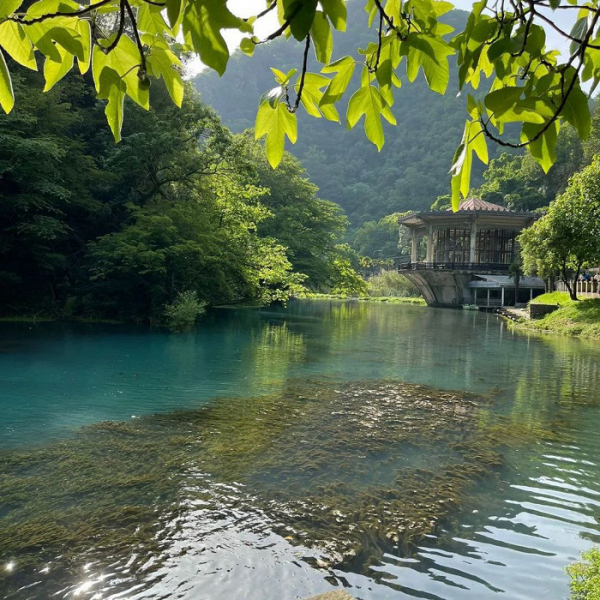 «Любите «тру» — приезжайте»: восторженный отзыв об Абхазии