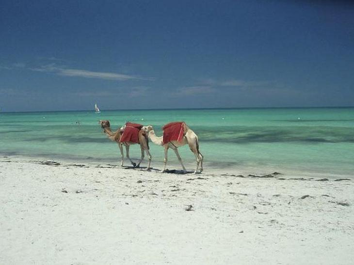 Манящие пляжи Туниса