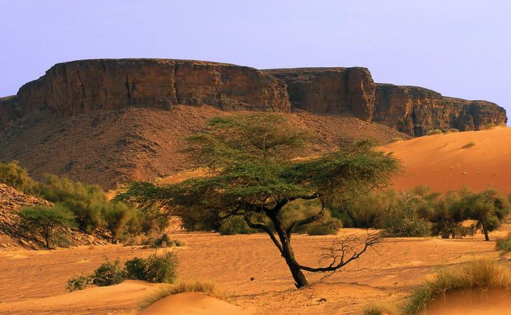 Мавритания: достопримечательности и популярные места